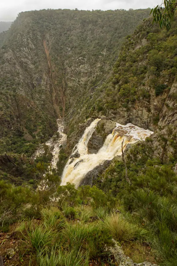 Wollomombi Falls (42)